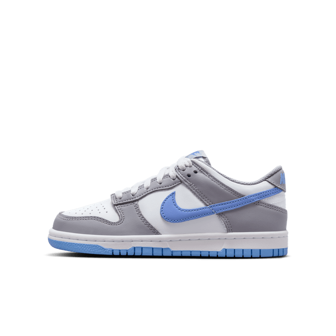 Nike Dunk Low Older Kids' FB9109-121