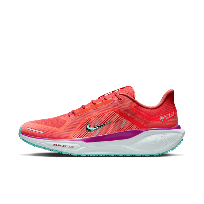 Nike Pegasus 41 GORE-TEX Waterproof Road HM8872-600