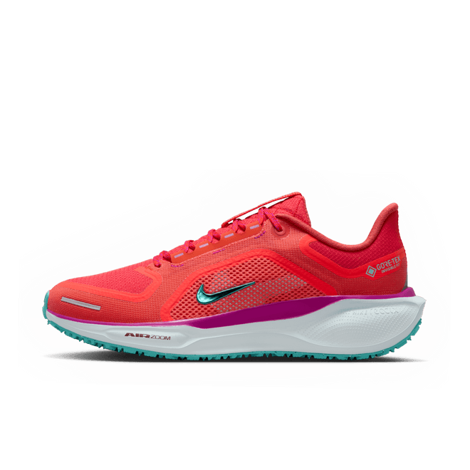 Nike Pegasus 41 GORE-TEX Waterproof Road