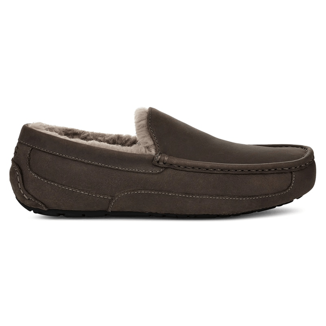 UGG Ascot Slipper Thunder Cloud