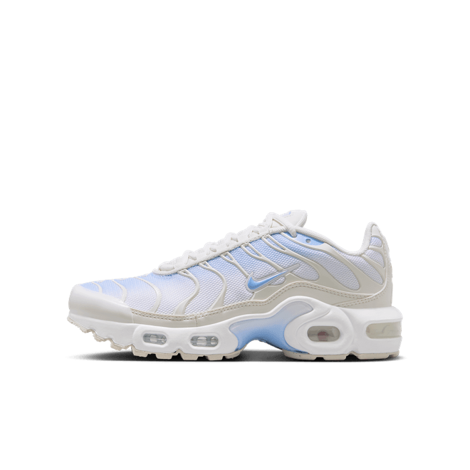 Nike Air Max Plus Older Kids' CD0609-411