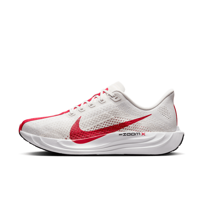 Nike Pegasus Plus Road FQ7262-003