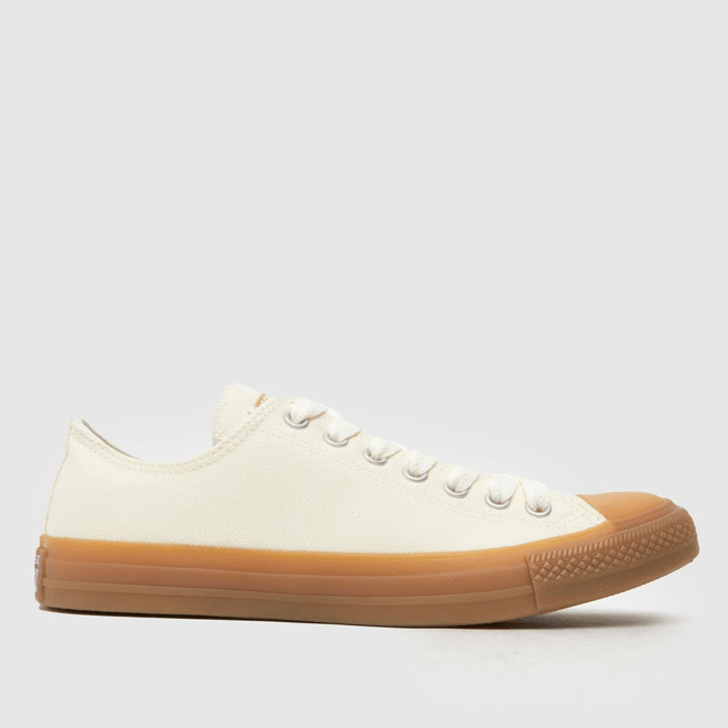 Converse Converse Chuck Taylor All Star Heavy Canvas A10512C