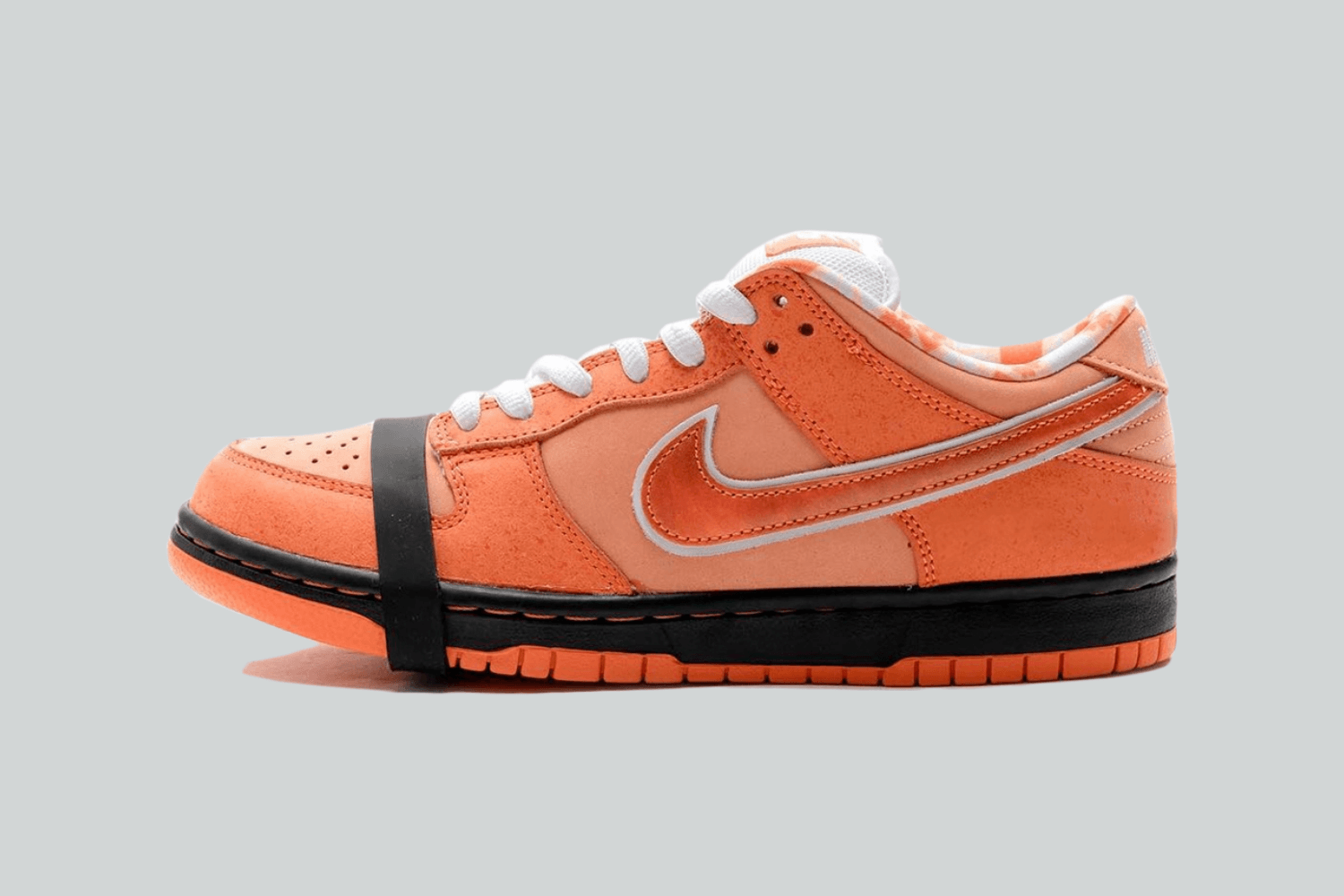 Der Concepts x Nike SB Dunk Low 'Orange Lobster' im Detailcheck