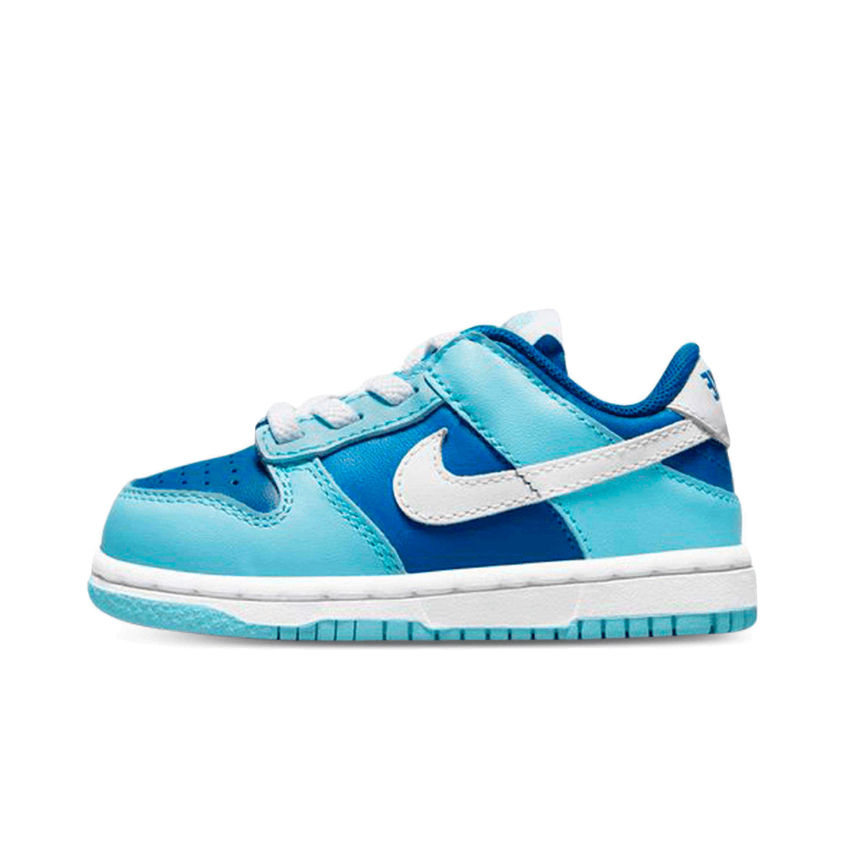 Nike Dunk Low Retro  'Argon'