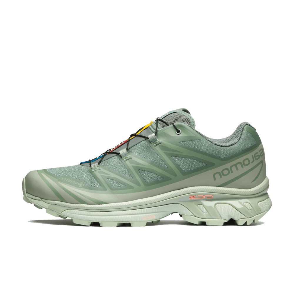 Salomon XT-6 GTX 'Desert Sage'