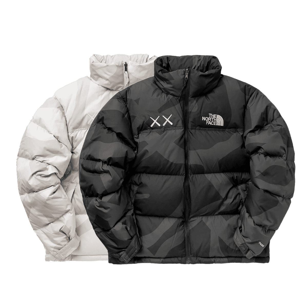 Kaws x The North Face Project X 1996 Nuptse