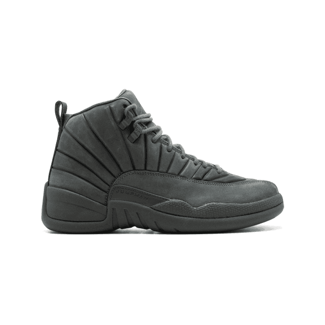 Jordan Air Jordan 12 Retro