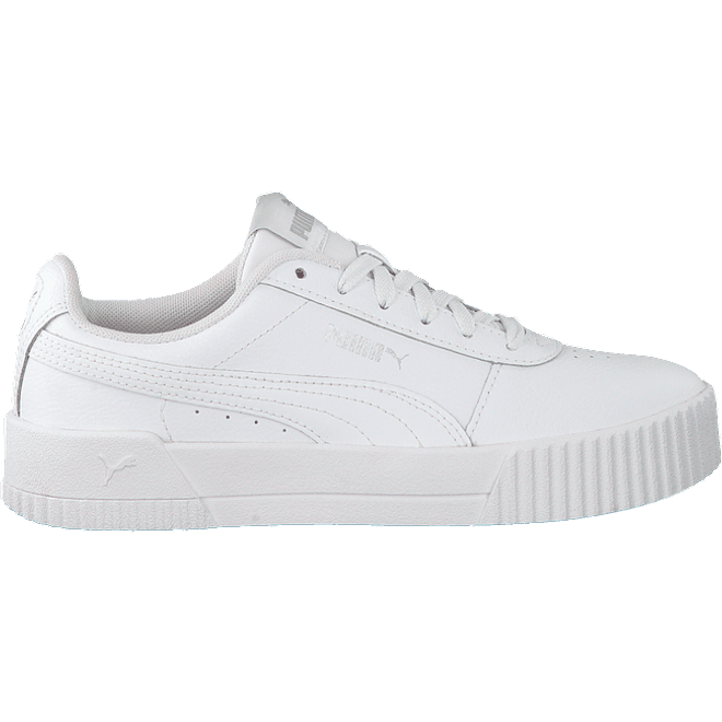 Puma Carina L