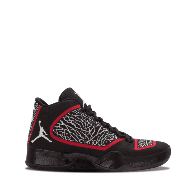 Jordan Air Jordan 29