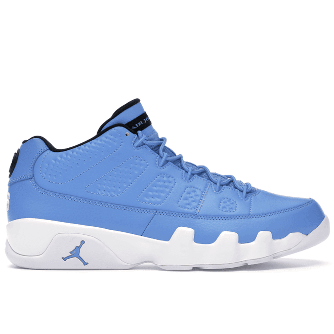 Jordan 9 Retro Low Pantone