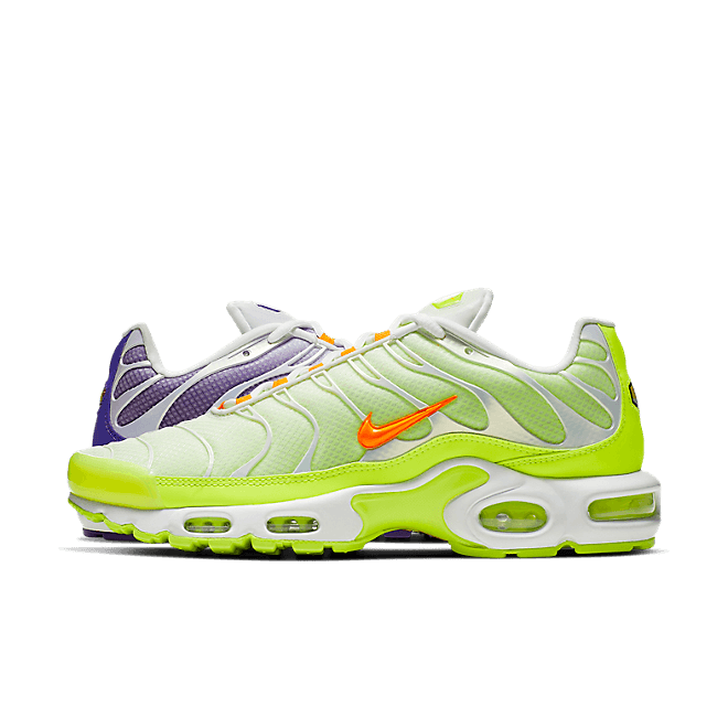 Nike Air Max Plus Color Flip Pack Grape