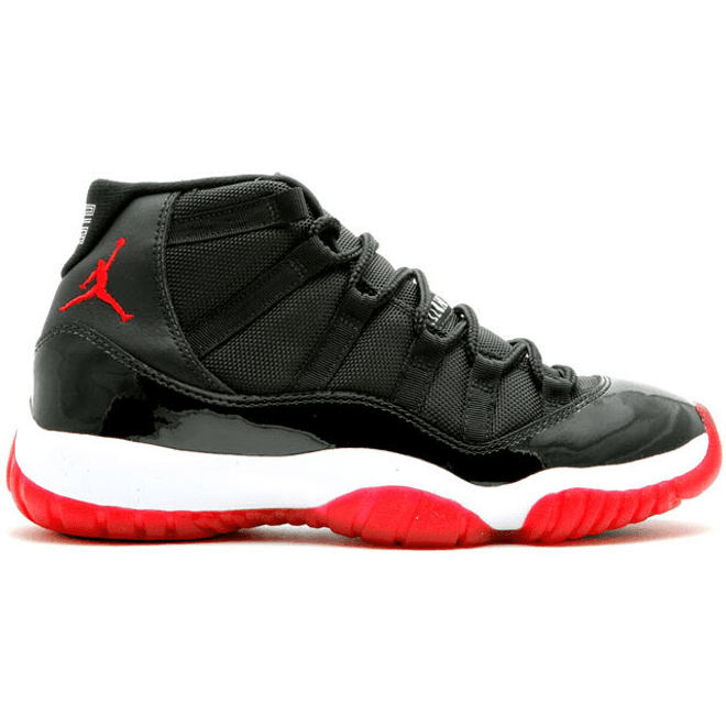 Jordan 11 Retro Playoffs CDP (2008)