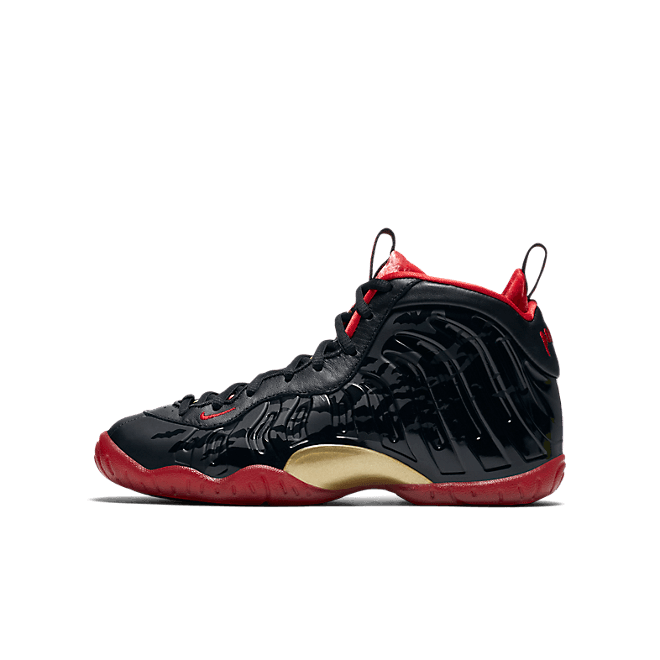 Air Nike Foamposite One Dracula (GS)