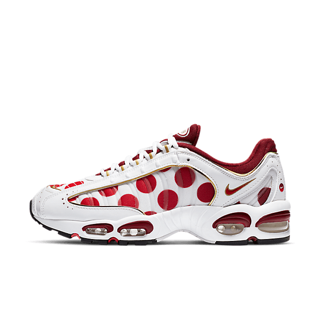 Nike Air Max Tailwind 4 Nippon