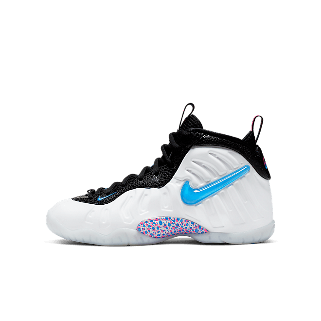 Nike Air Foamposite Pro 3D(GS)