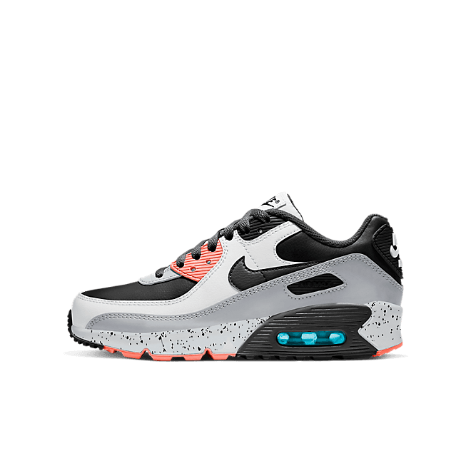 Nike Air Max 90 LTR