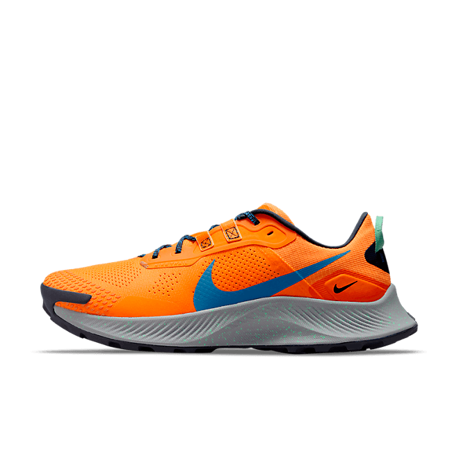 Nike Pegasus Trail 3 Trailrunning