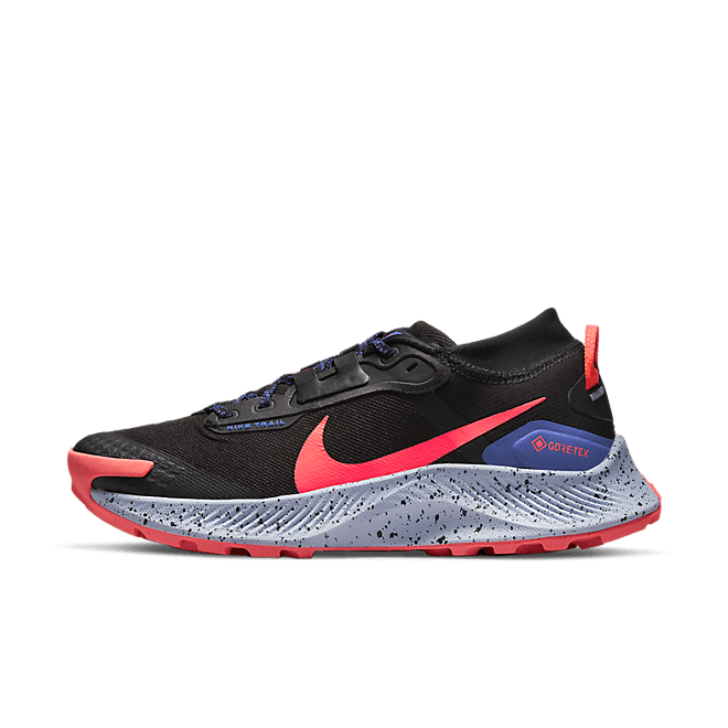 Nike Pegasus Trail 3 GORE