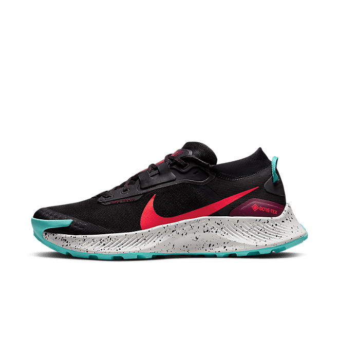 Nike Pegasus Trail 3 GORE