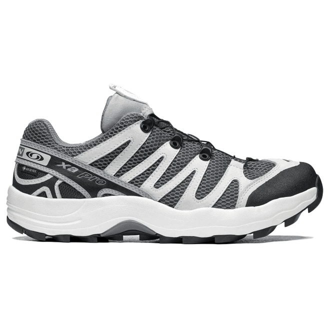 Salomon XA-Pro 1 Gore-Tex Beams Quarry Ebony