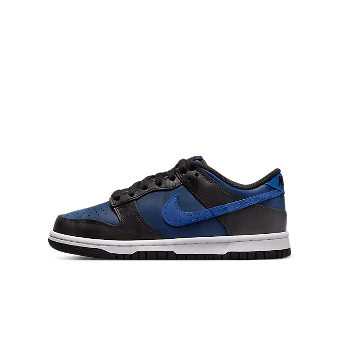 Nike Dunk Low Back To Cool