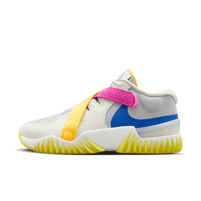 Nike Zoom Court Dragon Basketball 