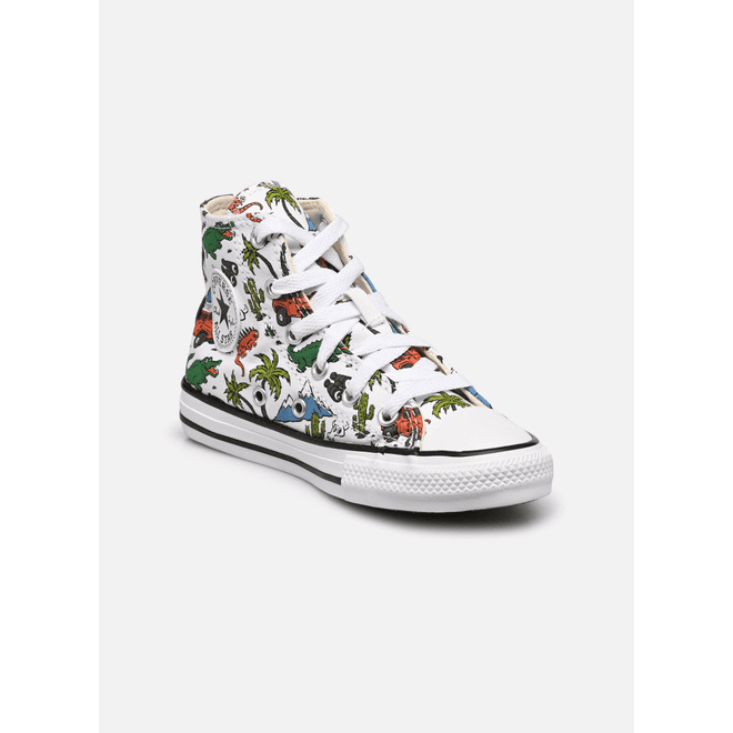 Chuck Taylor All Star Desert Explorer