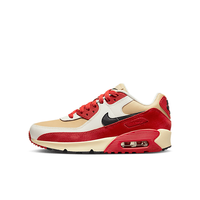 Nike Air Max 90 LTR