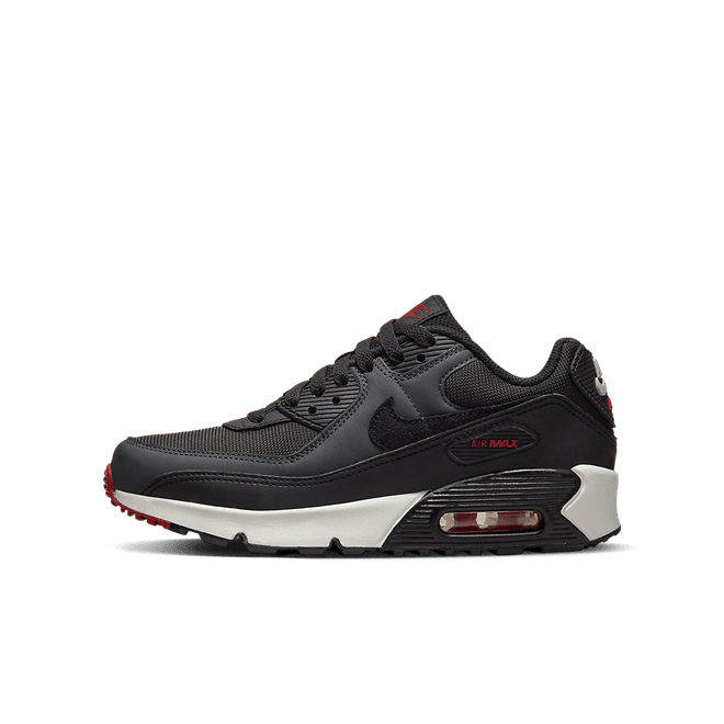 Nike Air Max 90 LTR