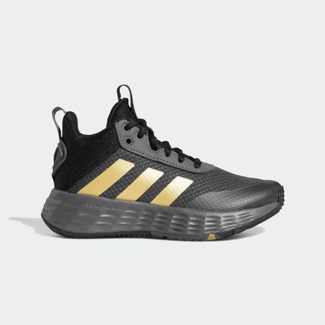 Adidas Ownthegame 2.0