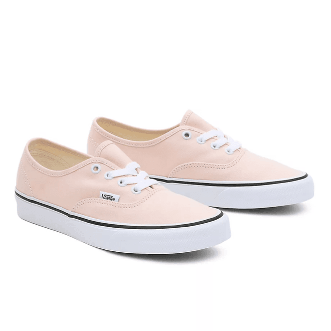 VANS Color Theory Authentic 