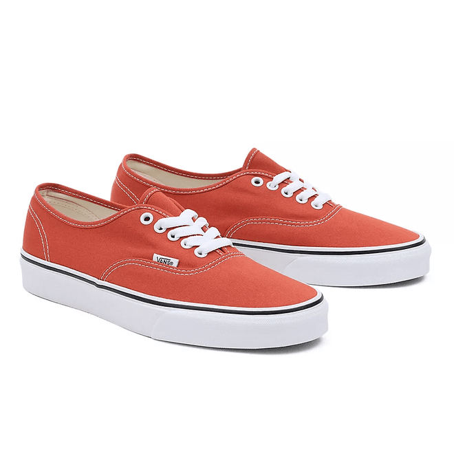 VANS Color Theory Authentic 