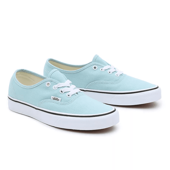 VANS Color Theory Authentic 