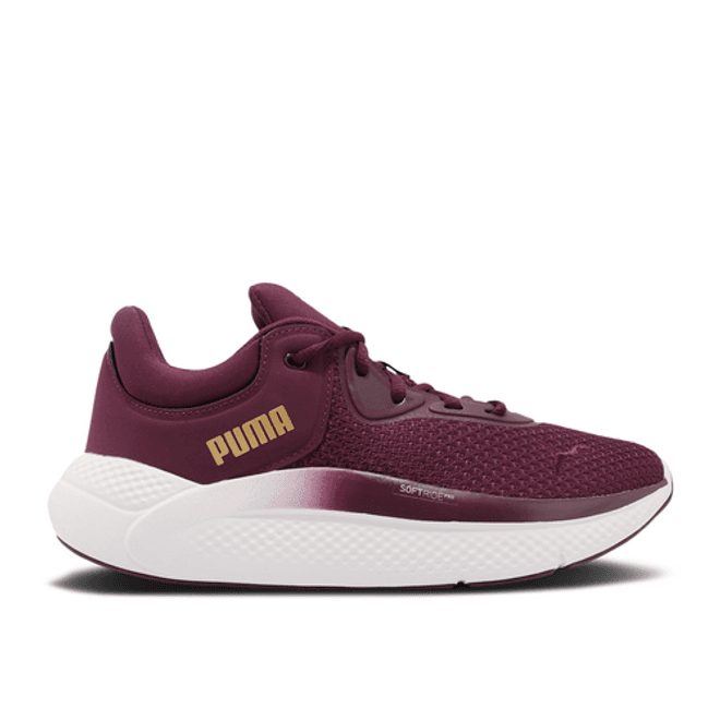 Puma Wmns Softride Pro 'Metallic - Aubergine Team Gold'