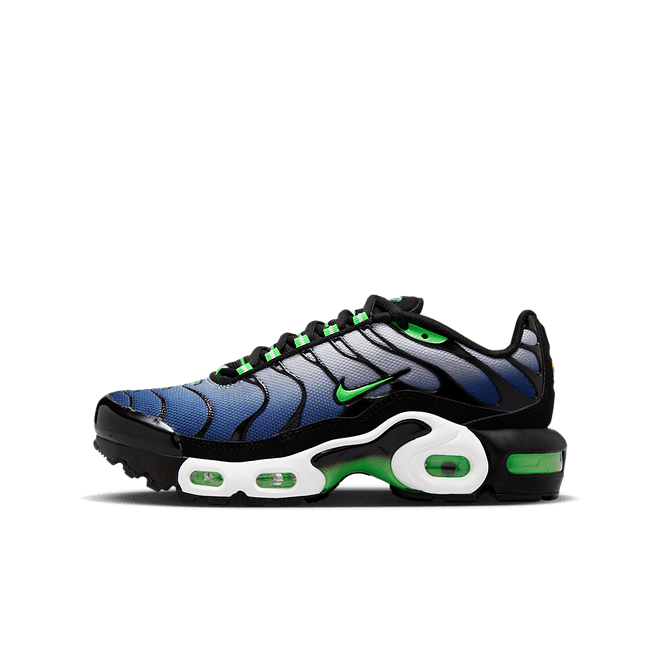 Nike Air Max Plus GS 'Icons'