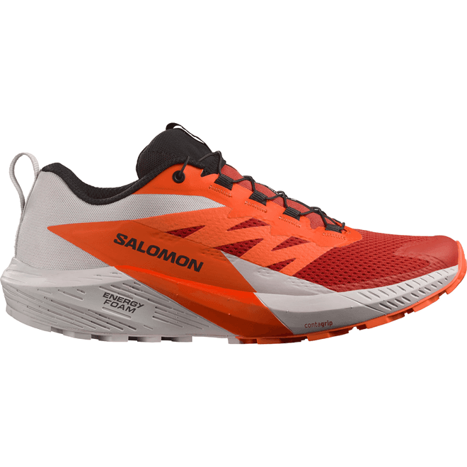 Salomon Sense Ride 5