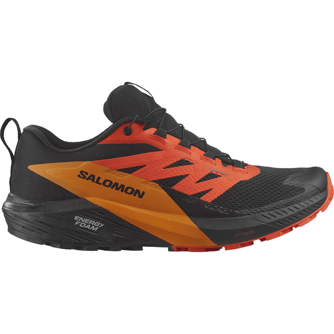 Salomon Sense Ride GTX 