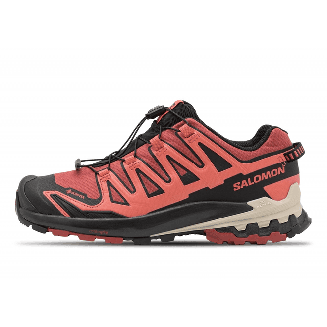 Salomon Wmns XA Pro 3D V9 GTX