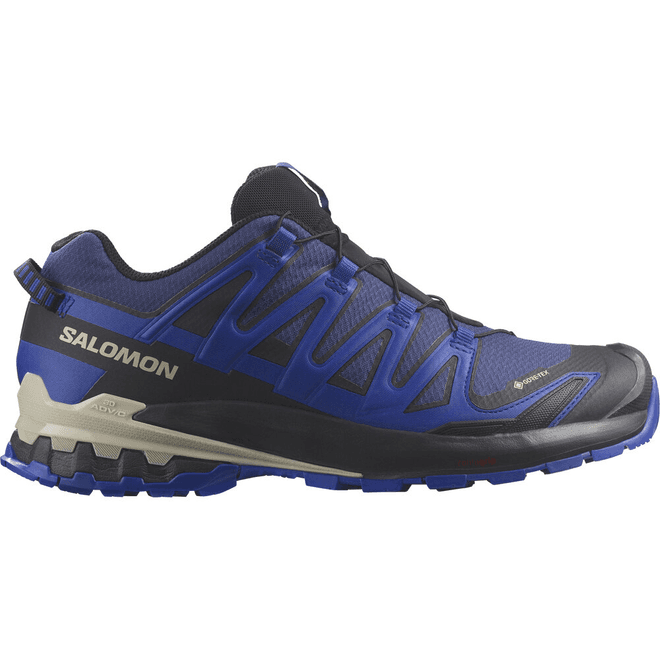 Herren Trailrunning-Schuhe SALOMON XA PRO 3D V9 GTX