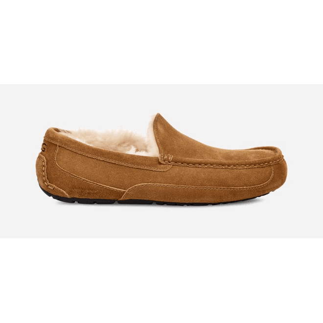 UGG Ascot Slipper Men Brown