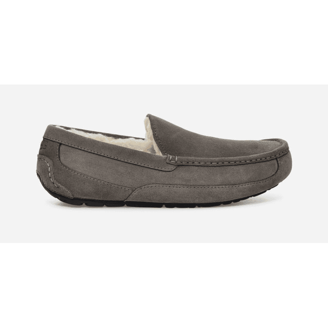 UGG Ascot Slipper Men Grey