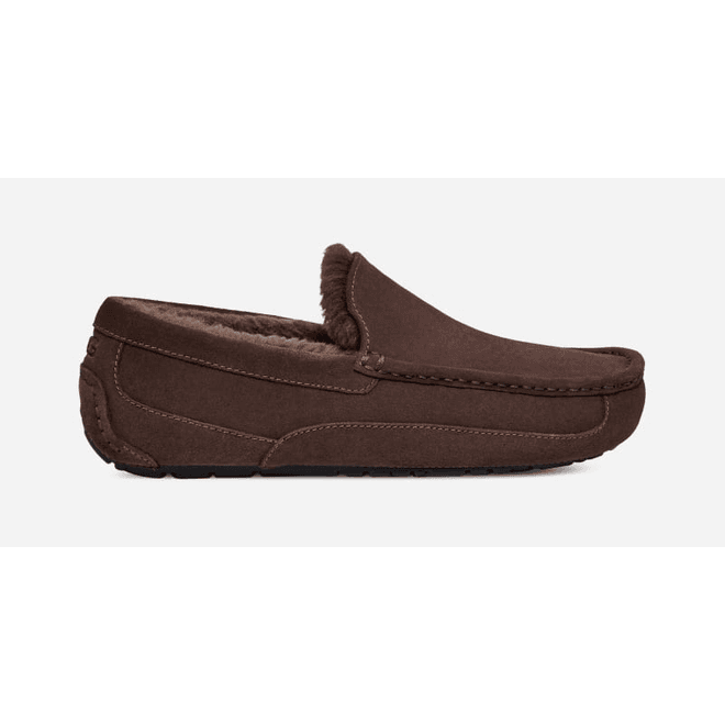 UGG Ascot Slipper Men Dusted Cocoa