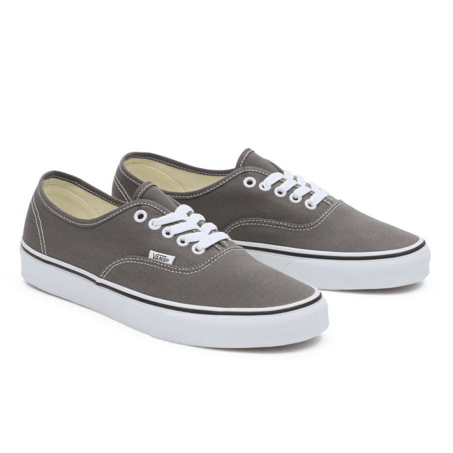 VANS Color Theory Authentic 