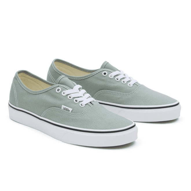 VANS Color Theory Authentic 