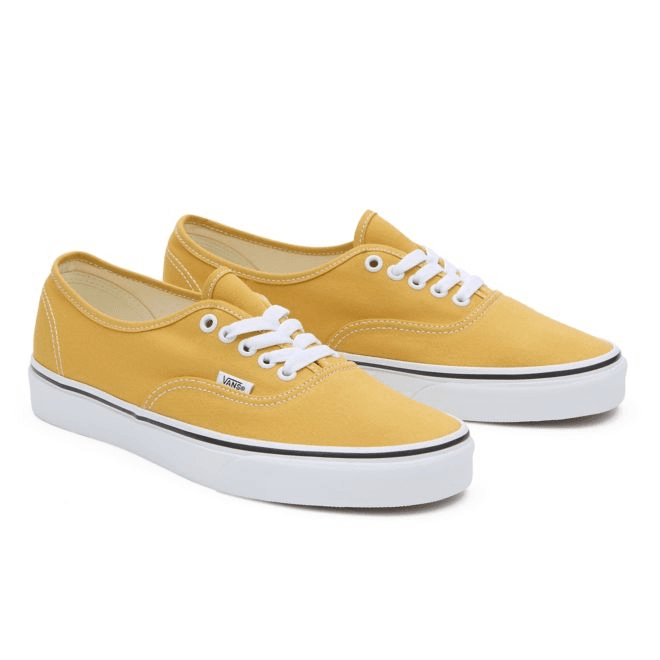 VANS Color Theory Authentic 