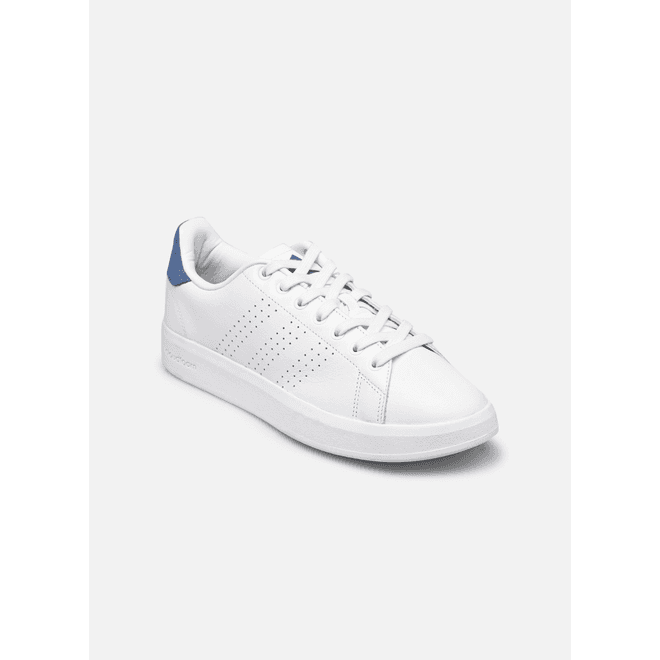 adidas sportswear Advantage Premium M