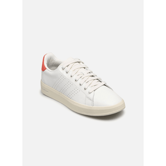 adidas sportswear Advantage Premium M