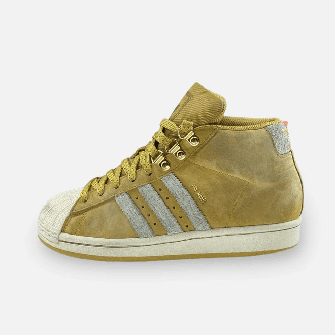 Adidas Pro model 