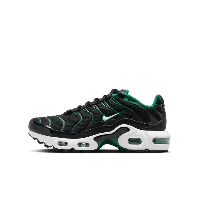 Nike Air Max Plus Older Kids'